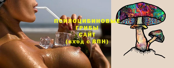 spice Киреевск