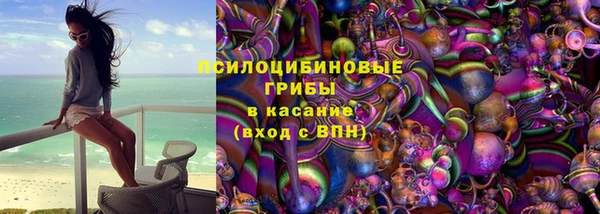 spice Кинешма