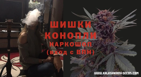 spice Кинешма